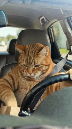 dej jeun ftour iftar ramadan tacos durum doner crepe sandwich bacon cheese steak fritent frit