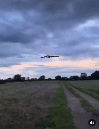 demo b2 furtif jdam bomb liberty bam exit shut 410ed rule push press nuked tech