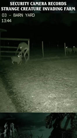 groom lake s4 ayy lmao area51 ufo drone daarpa nevada zone51 usaf extra planet cosmic