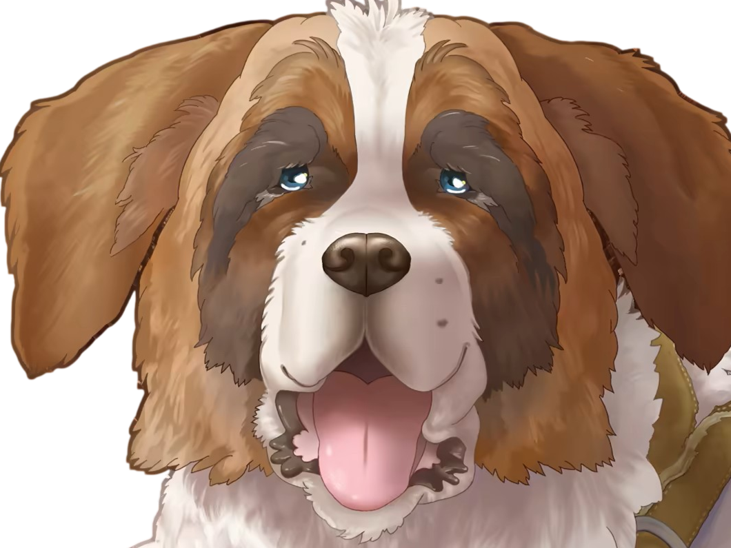 chien saint bernard saint-bernard