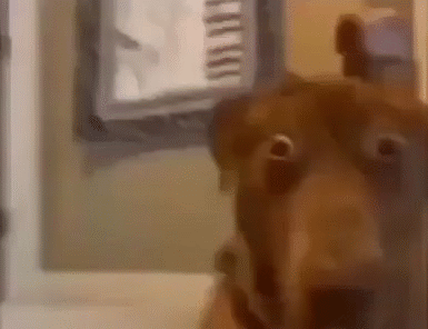 palu malice smart dumb bru mute autism arf shh pff hum tarax mock nuts perro