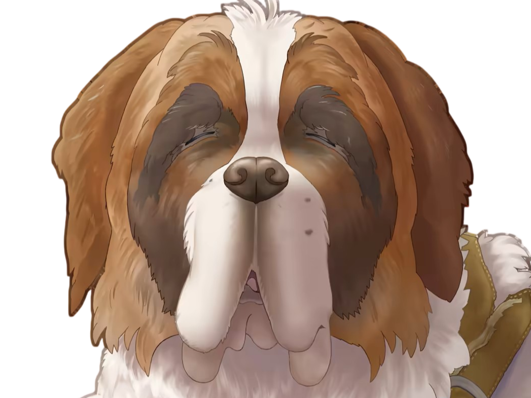 chien saint bernard saint-bernard