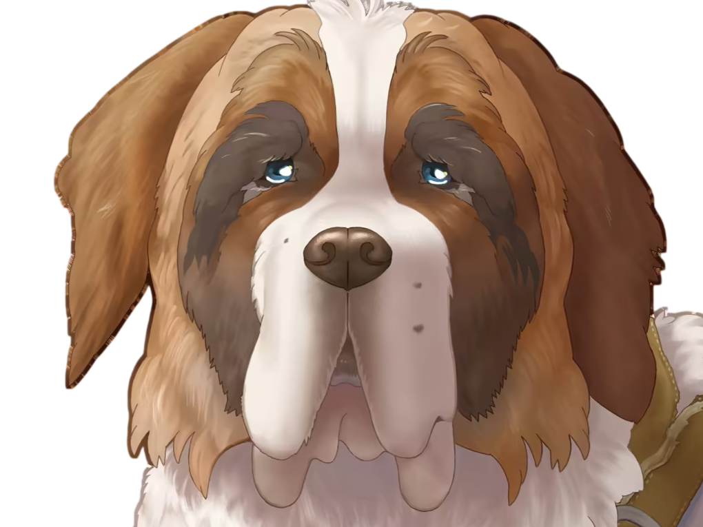 chien saint bernard saint-bernard