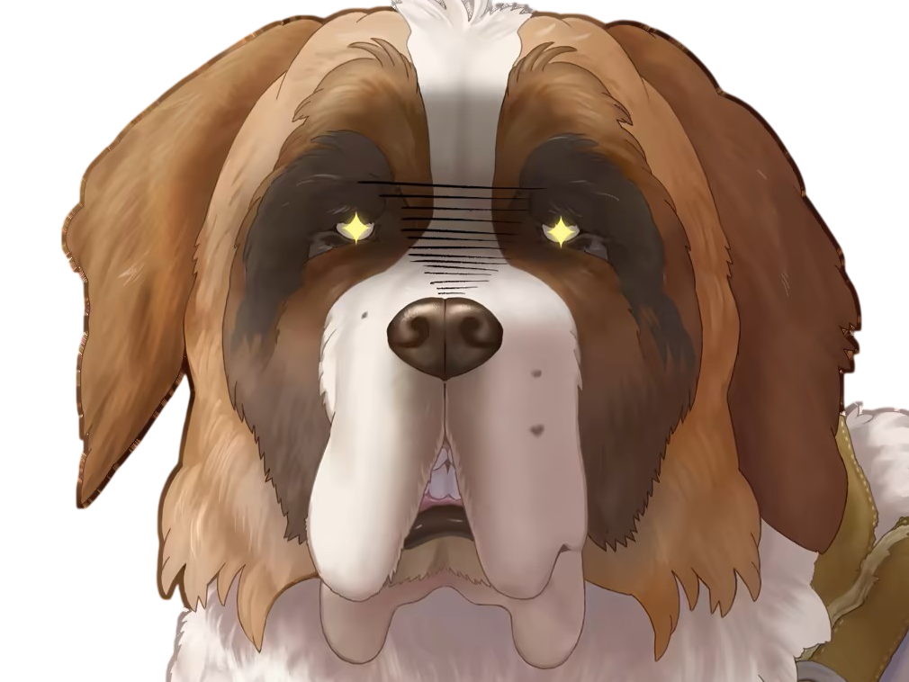 chien saint bernard saint-bernard