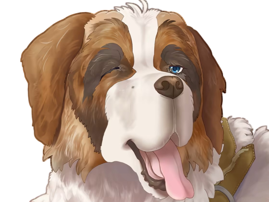 chien saint bernard saint-bernard