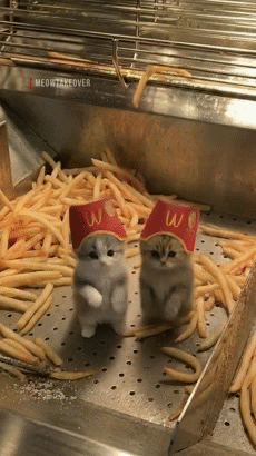 magdo mcd bucks starbuck quick bk crousty fastfood produit hamburger pizzas dominos hut nugget kfc