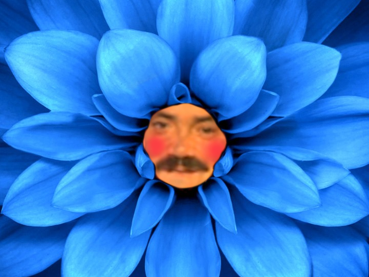 risitas fleur bleue