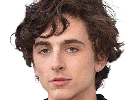 timothe chalamet acteur americain francais cinema homme vingtenaire vingtaine cheveux-bruns cheveux-boucles yeux-verts 2019
