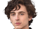 timothe-chalamet-acteur-americain-francais-cinema-homme-vingtenaire-vingtaine-cheveux-bruns-cheveux-boucles-yeux-verts-2019