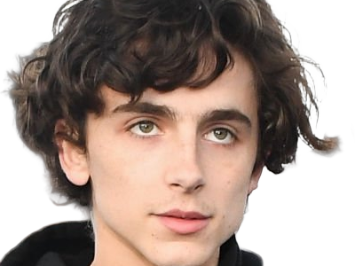timothe chalamet acteur americain francais cinema homme vingtenaire vingtaine cheveux-bruns cheveux-boucles yeux-verts 2019