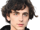 timothe-chalamet-acteur-americain-francais-cinema-homme-vingtenaire-vingtaine-cheveux-bruns-cheveux-boucles-yeux-verts-2019