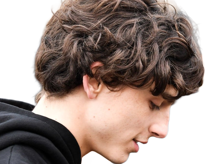 timothe chalamet acteur americain francais cinema homme vingtenaire vingtaine cheveux-bruns cheveux-boucles yeux-verts 2019