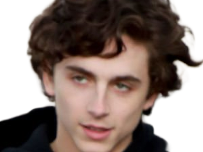 timothe chalamet acteur americain francais cinema homme vingtenaire vingtaine cheveux-bruns cheveux-boucles yeux-verts 2019