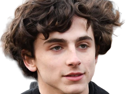 timothe chalamet acteur americain francais cinema homme vingtenaire vingtaine cheveux-bruns cheveux-boucles yeux-verts 2019