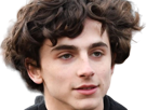 timothe-chalamet-acteur-americain-francais-cinema-homme-vingtenaire-vingtaine-cheveux-bruns-cheveux-boucles-yeux-verts-2019