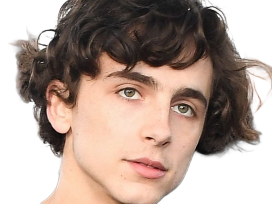 timothe chalamet acteur americain francais cinema homme vingtenaire vingtaine cheveux-bruns cheveux-boucles yeux-verts 2019