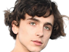 timothe-chalamet-acteur-americain-francais-cinema-homme-vingtenaire-vingtaine-cheveux-bruns-cheveux-boucles-yeux-verts-2019