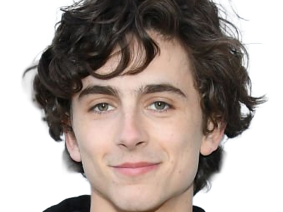 timothe chalamet acteur americain francais cinema homme vingtenaire vingtaine cheveux-bruns cheveux-boucles yeux-verts 2019
