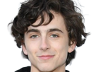 timothe-chalamet-acteur-americain-francais-cinema-homme-vingtenaire-vingtaine-cheveux-bruns-cheveux-boucles-yeux-verts-2019