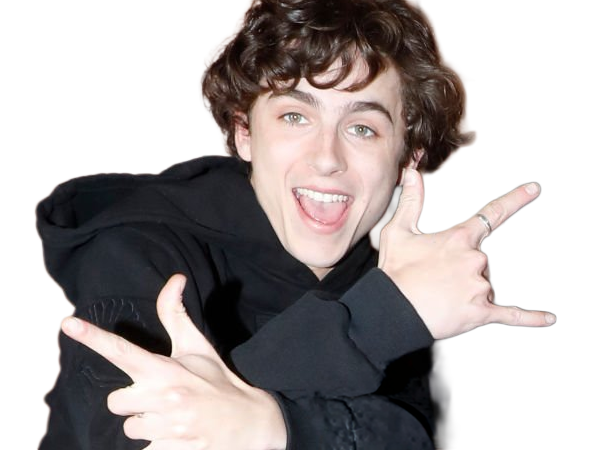 timothe chalamet acteur americain francais cinema homme vingtenaire vingtaine cheveux-bruns cheveux-boucles yeux-verts 2019