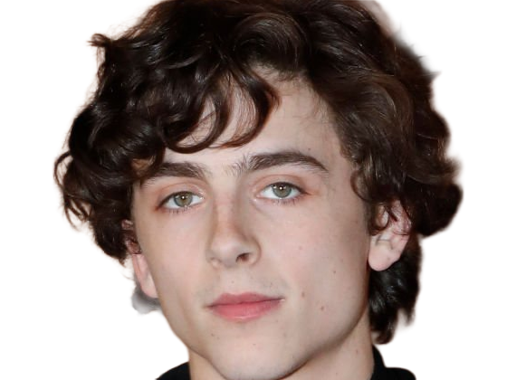 timothe chalamet acteur americain francais cinema homme vingtenaire vingtaine cheveux-bruns cheveux-boucles yeux-verts 2019