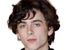 timothe-chalamet-acteur-americain-francais-cinema-homme-vingtenaire-vingtaine-cheveux-bruns-cheveux-boucles-yeux-verts-2019