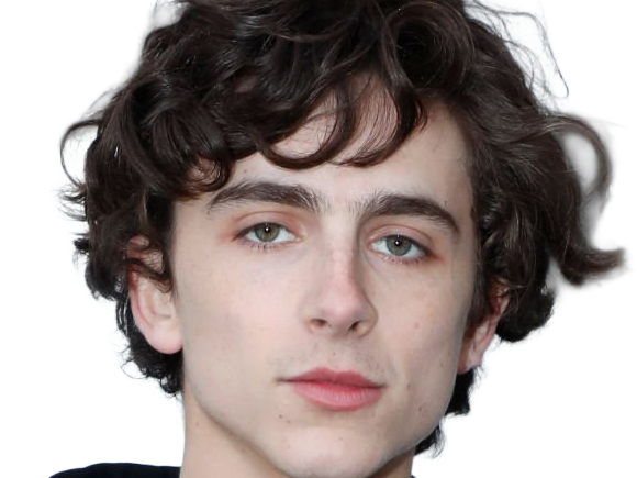 timothe chalamet acteur americain francais cinema homme vingtenaire vingtaine cheveux-bruns cheveux-boucles yeux-verts 2019