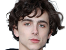 timothe-chalamet-acteur-americain-francais-cinema-homme-vingtenaire-vingtaine-cheveux-bruns-cheveux-boucles-yeux-verts-2019