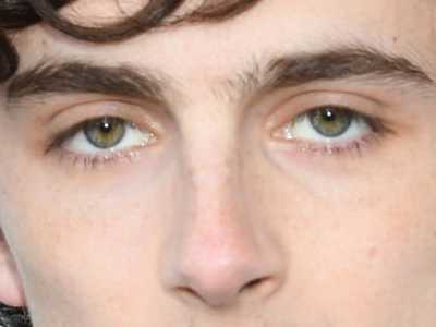 timothe chalamet acteur americain francais cinema homme vingtenaire vingtaine cheveux-bruns cheveux-boucles yeux-verts 2019