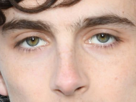 timothe-chalamet-acteur-americain-francais-cinema-homme-vingtenaire-vingtaine-cheveux-bruns-cheveux-boucles-yeux-verts-2019
