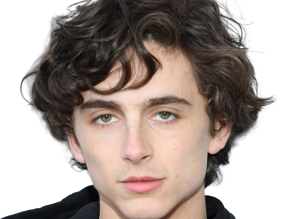 timothe chalamet acteur americain francais cinema homme vingtenaire vingtaine cheveux-bruns cheveux-boucles yeux-verts 2019