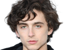 timothe-chalamet-acteur-americain-francais-cinema-homme-vingtenaire-vingtaine-cheveux-bruns-cheveux-boucles-yeux-verts-2019