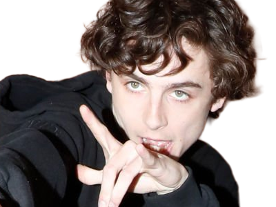 timothe chalamet acteur americain francais cinema homme vingtenaire vingtaine cheveux-bruns cheveux-boucles yeux-verts 2019