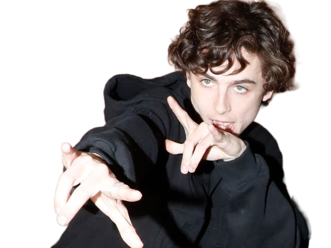 timothe chalamet acteur americain francais cinema homme vingtenaire vingtaine cheveux-bruns cheveux-boucles yeux-verts 2019