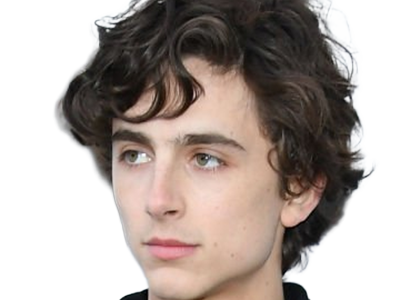 timothe chalamet acteur americain francais cinema homme vingtenaire vingtaine cheveux-bruns cheveux-boucles yeux-verts 2019