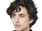 timothe-chalamet-acteur-americain-francais-cinema-homme-vingtenaire-vingtaine-cheveux-bruns-cheveux-boucles-yeux-verts-2019