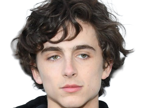 timothe chalamet acteur americain francais cinema homme vingtenaire vingtaine cheveux-bruns cheveux-boucles yeux-verts 2019
