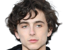 timothe-chalamet-acteur-americain-francais-cinema-homme-vingtenaire-vingtaine-cheveux-bruns-cheveux-boucles-yeux-verts-2019