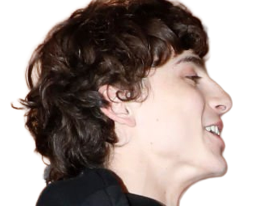 timothe chalamet acteur americain francais cinema homme vingtenaire vingtaine cheveux-bruns cheveux-boucles yeux-verts 2019