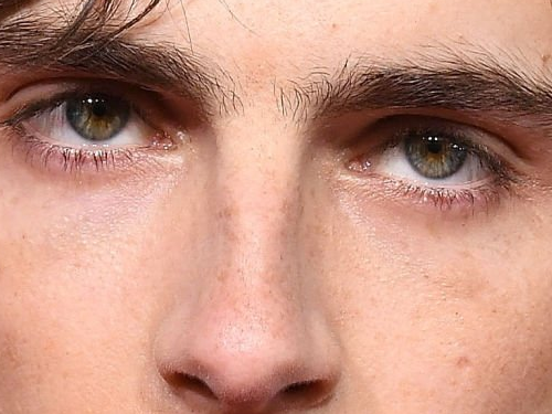 timothe chalamet acteur americain francais cinema homme vingtenaire vingtaine cheveux-bruns cheveux-boucles yeux-verts 2019