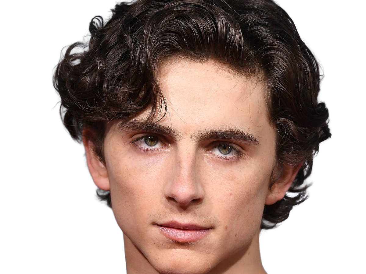 timothe chalamet acteur americain francais cinema homme vingtenaire vingtaine cheveux-bruns cheveux-boucles yeux-verts 2019
