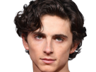 timothe-chalamet-acteur-americain-francais-cinema-homme-vingtenaire-vingtaine-cheveux-bruns-cheveux-boucles-yeux-verts-2019