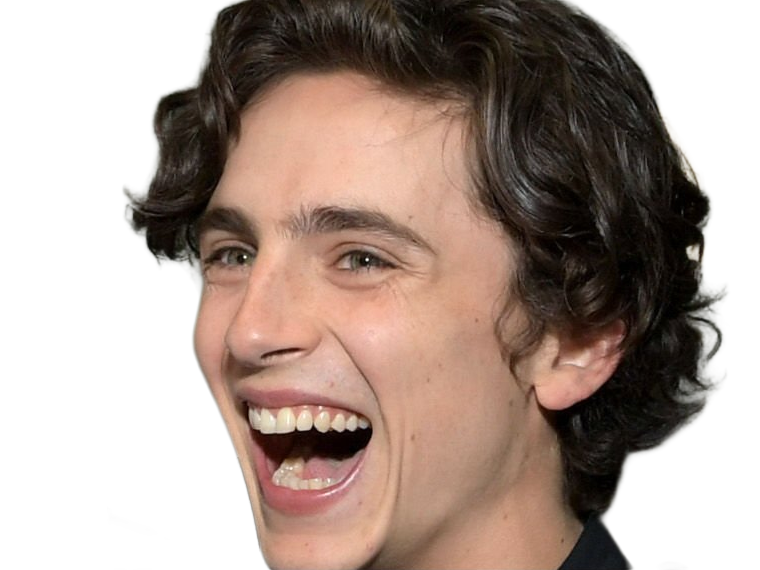 timothe chalamet acteur americain francais cinema homme vingtenaire vingtaine cheveux-bruns cheveux-boucles yeux-verts 2019