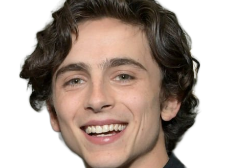 timothe chalamet acteur americain francais cinema homme vingtenaire vingtaine cheveux-bruns cheveux-boucles yeux-verts 2019