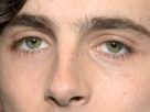 timothe-chalamet-acteur-americain-francais-cinema-homme-vingtenaire-vingtaine-cheveux-bruns-cheveux-boucles-yeux-verts-2019