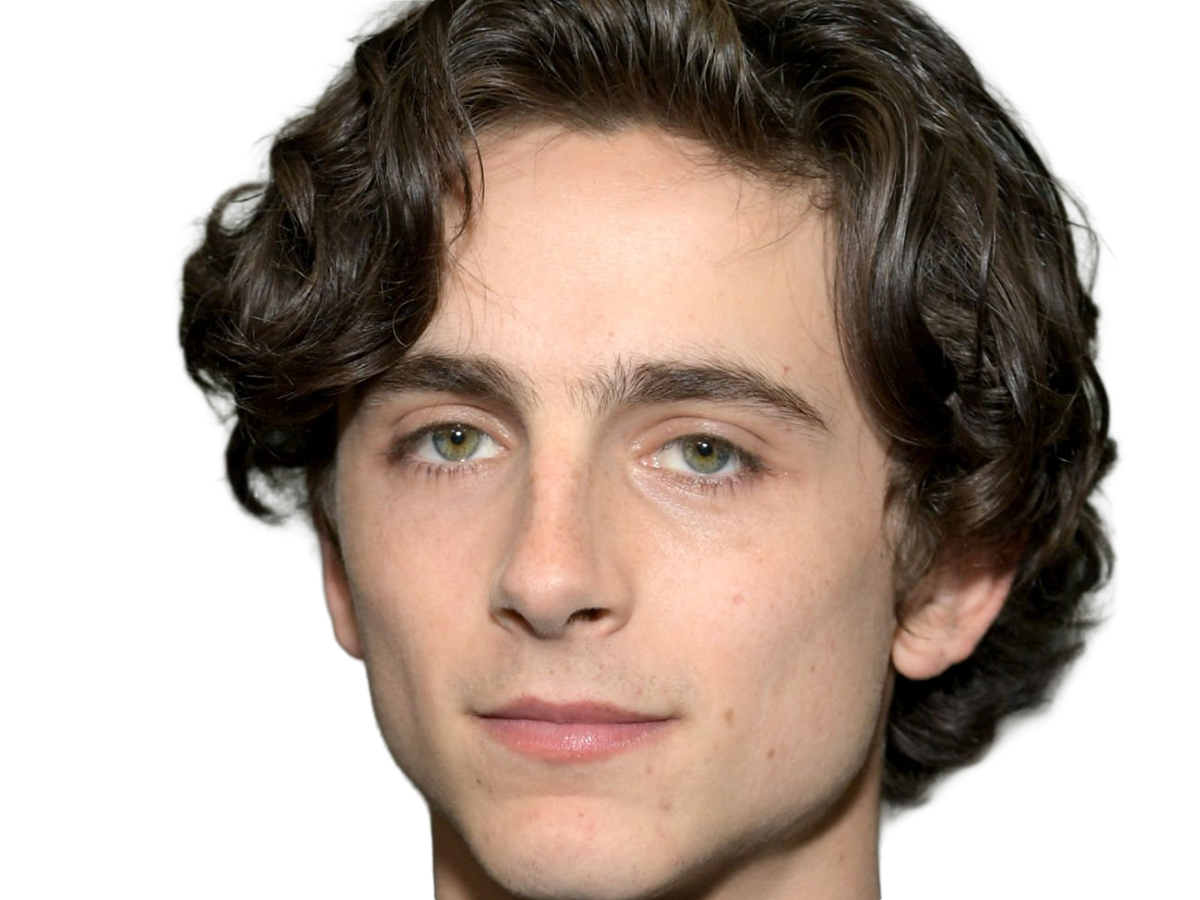 timothe chalamet acteur americain francais cinema homme vingtenaire vingtaine cheveux-bruns cheveux-boucles yeux-verts 2019