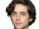timothe-chalamet-acteur-americain-francais-cinema-homme-vingtenaire-vingtaine-cheveux-bruns-cheveux-boucles-yeux-verts-2019
