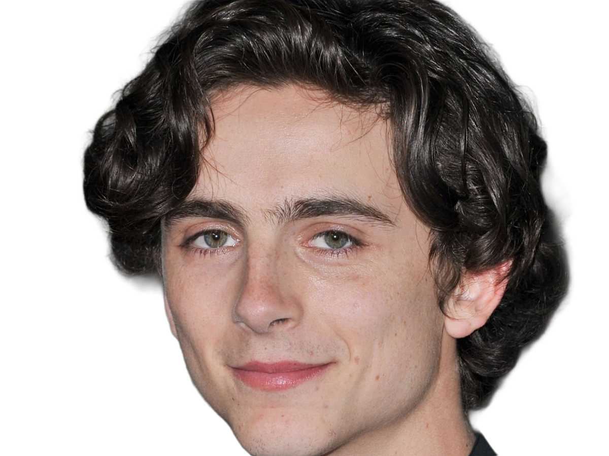 timothe chalamet acteur americain francais cinema homme vingtenaire vingtaine cheveux-bruns cheveux-boucles yeux-verts 2019