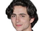 timothe-chalamet-acteur-americain-francais-cinema-homme-vingtenaire-vingtaine-cheveux-bruns-cheveux-boucles-yeux-verts-2019