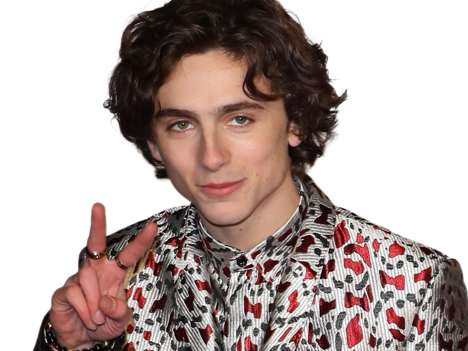 timothe chalamet acteur americain francais cinema homme vingtenaire vingtaine cheveux-bruns cheveux-boucles yeux-verts 2019